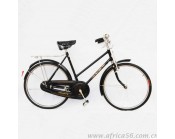 自行車出口案例