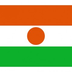 尼日爾出口市場詳細情況