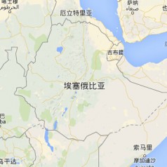 【埃塞俄比亞】雙清