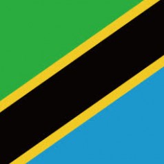 坦桑尼亞關(guān)稅