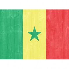 塞內(nèi)加爾出口市場詳細(xì)情況