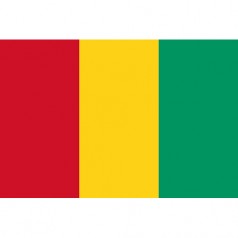 幾內(nèi)亞出口市場(chǎng)詳細(xì)情況