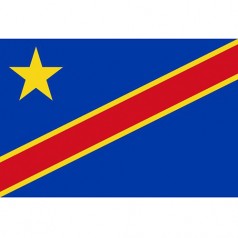 剛果（金）出口市場詳細(xì)情況