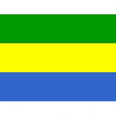 加蓬出口市場詳細情況