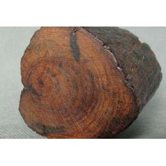 木材的識別方法之二篇