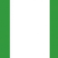 尼日利亞關(guān)稅