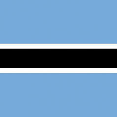 博茨瓦納出口市場詳細(xì)情況