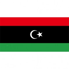 利比亞出口市場詳細情況