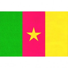 喀麥隆出口市場詳細情況