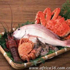 海鮮凍品出口注意事項