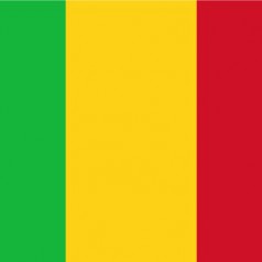 馬里出口市場詳細(xì)情況