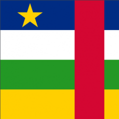 中非出口市場詳細(xì)情況