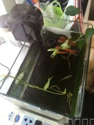 旭洲物流，2016春