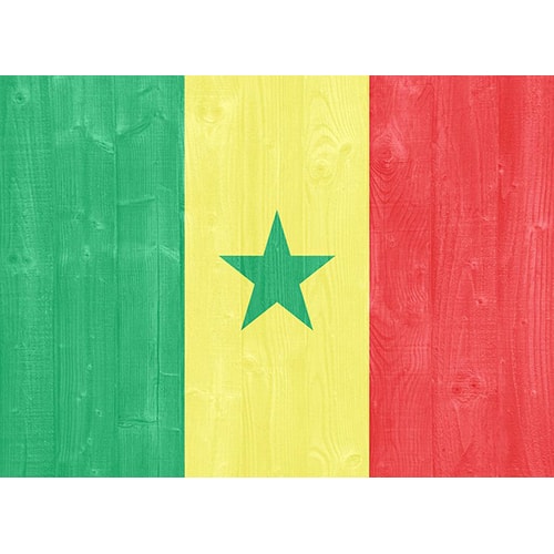 塞內加爾出口市場詳細情況