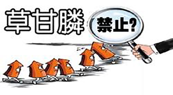 歐盟表決近年會(huì)對(duì)草甘膦的使用作出限制，并積極尋求草甘膦代替品，草甘膦出口面臨尷尬局面。