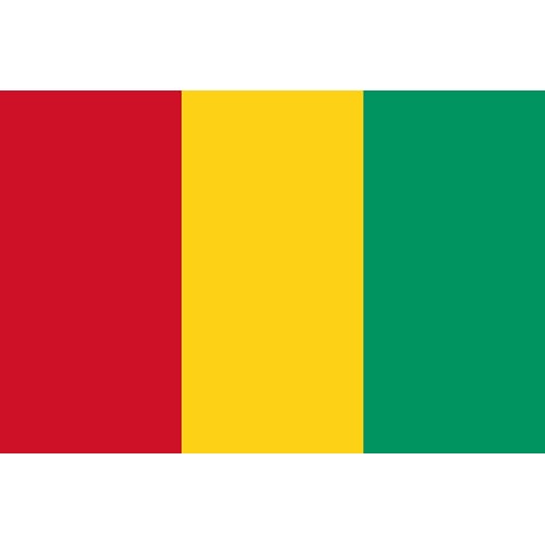 幾內亞出口市場詳細情況