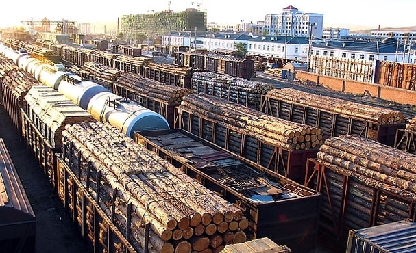 為保護(hù)森林資源，貝寧政府嚴(yán)禁木材出口。