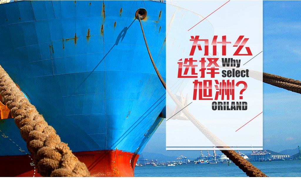 旭洲物流幫您進(jìn)口非洲原木