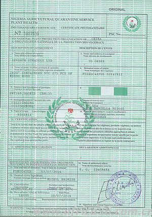 客戶需提供植檢證正本