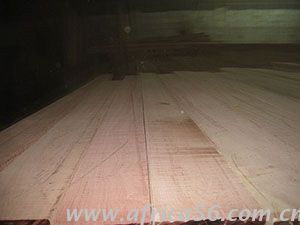 旭洲物流作為深耕非洲海運(yùn)22年的物流專(zhuān)家，擁有多年各類(lèi)貨物進(jìn)出口經(jīng)驗(yàn)，操作精煉，專(zhuān)業(yè)服務(wù)，為您全面梳理非洲花梨木進(jìn)口的注意事項(xiàng)