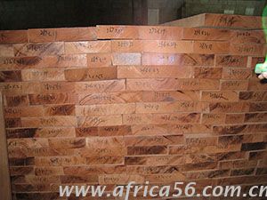 旭洲物流作為深耕非洲海運(yùn)22年的物流專(zhuān)家，擁有多年各類(lèi)貨物進(jìn)出口經(jīng)驗(yàn)，操作精煉，專(zhuān)業(yè)服務(wù)，為您全面梳理非洲花梨木進(jìn)口的注意事項(xiàng)