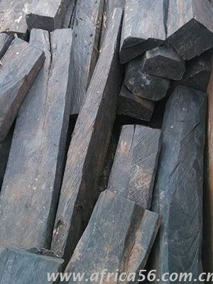 旭洲物流作為深耕非洲海運(yùn)22年的物流專家，擁有多年各類貨物進(jìn)出口經(jīng)驗(yàn)，操作精煉，專業(yè)服務(wù)，為您全面梳理厚瓣烏木進(jìn)口的注意事項(xiàng)