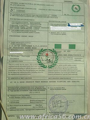 客戶需提供植檢證正本