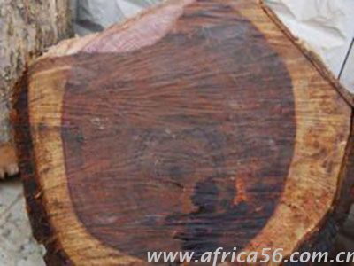 旭洲物流作為深耕非洲海運22年的物流專家，擁有多年各類貨物進出口經(jīng)驗，操作精煉，專業(yè)服務，為您全面梳理大紅酸枝木進口的注意事項