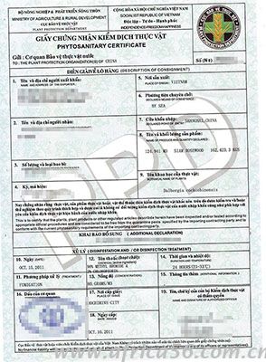 國外客戶需提供植檢證