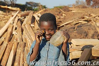 旭洲物流作為深耕非洲海運(yùn)22年的物流專(zhuān)家，擁有多年各類(lèi)貨物進(jìn)出口經(jīng)驗(yàn)，操作精煉，專(zhuān)業(yè)服務(wù)，為您全面梳理非洲原木及板材進(jìn)口的注意事項(xiàng)