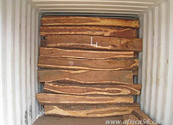 旭洲物流作為深耕非洲海運(yùn)22年的專家，擁有多年各類貨品進(jìn)出口貨代經(jīng)驗(yàn)，特為您梳理亞花梨木情況匯總