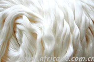 紡織品原料&mdash;&mdash;蠶絲