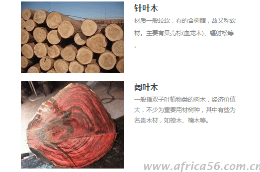 在《稅則》中，原木大致按針葉木、熱帶木、紅木、其他闊葉木來分類。