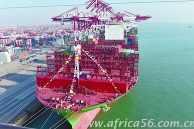 危險品海運裝箱進港