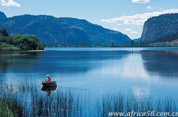 哥倫比亞提單要求