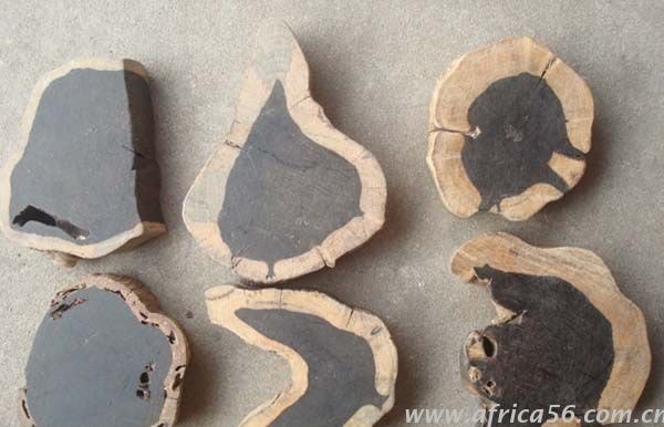 黑檀木識(shí)別方法