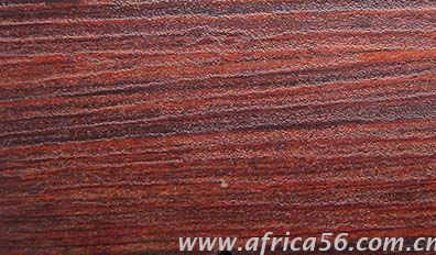 黑胡桃木識別方法