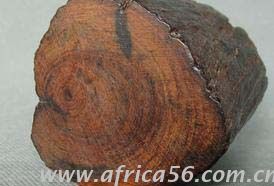 紫檀木識別方法