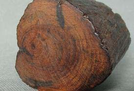 木材的識別方法之二篇