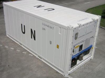 冷凍箱裝箱指南