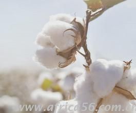 旭洲物流教你界定輕重貨