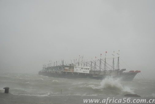 旭洲物流提醒您謹(jǐn)防臺(tái)風(fēng)