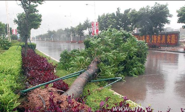 旭洲物流提醒您謹(jǐn)防臺(tái)風(fēng)