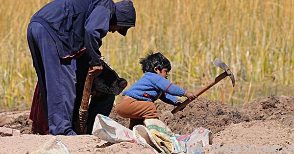 和美洲國家進(jìn)行貿(mào)易，這些你要注意