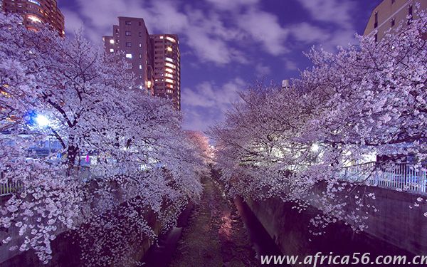 同在亞洲，性格特點和談判習(xí)慣可大有不同
