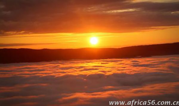  被收購(gòu)的APL越來(lái)越如魚(yú)得水