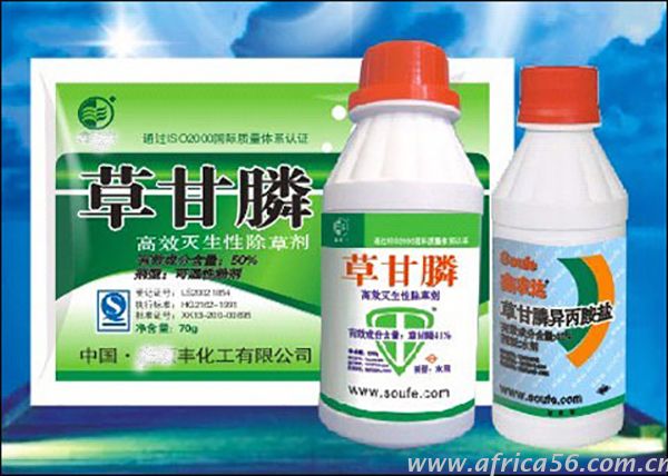 草甘膦出口專家，旭洲物流帶來好消息，草甘膦在斯里蘭卡迎來新生了