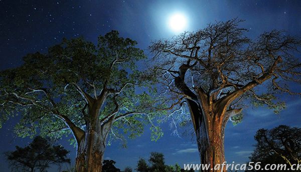 22年專注非洲海運(yùn)的旭洲物流梳理非洲主要港口認(rèn)證要求