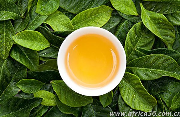 草甘膦出口專家，旭洲物流帶來好消息，草甘膦在斯里蘭卡迎來新生了