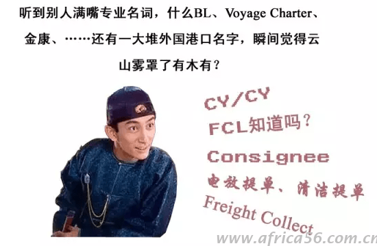 這絕對(duì)是旭洲物流最有趣的外貿(mào)知識(shí)科普